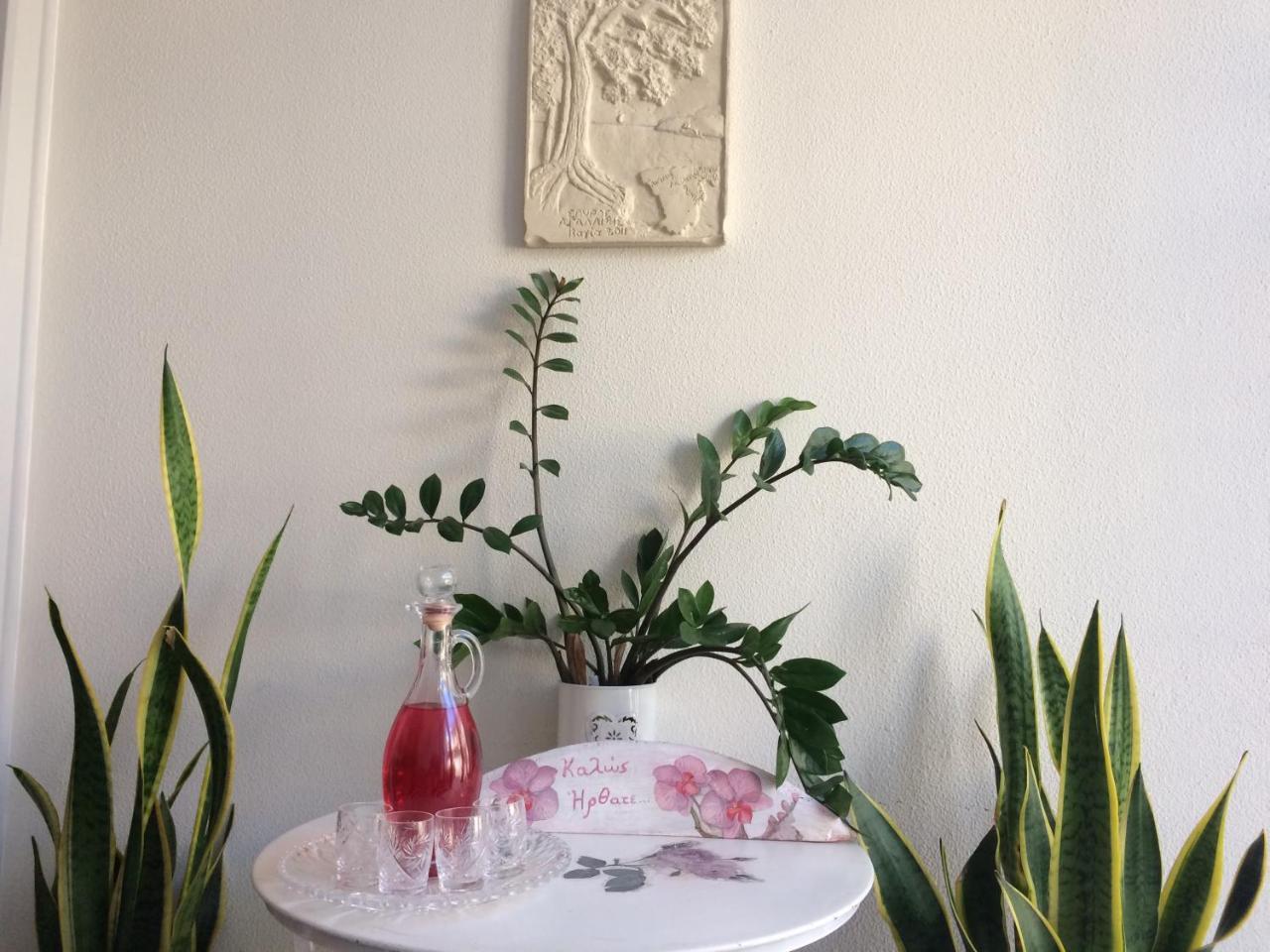Isidora Hotel Agia Marina  Extérieur photo